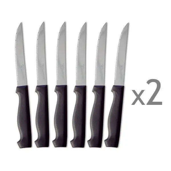 12-Steak Knife Set – Premium Stainless Steel Blades By Pradel 1