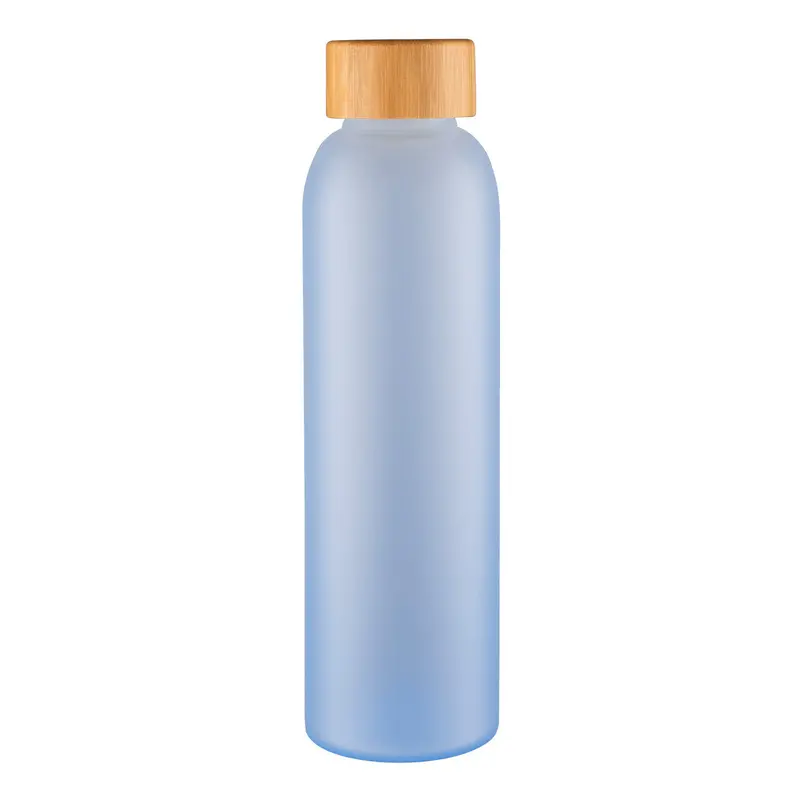 Avanti Frosted Blue Velvet-Coated Glass Water Bottle – 550Ml Insulated Hydration Flask 1