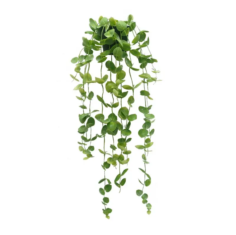 Coin Leaf Design Hanging Garden Planter 1