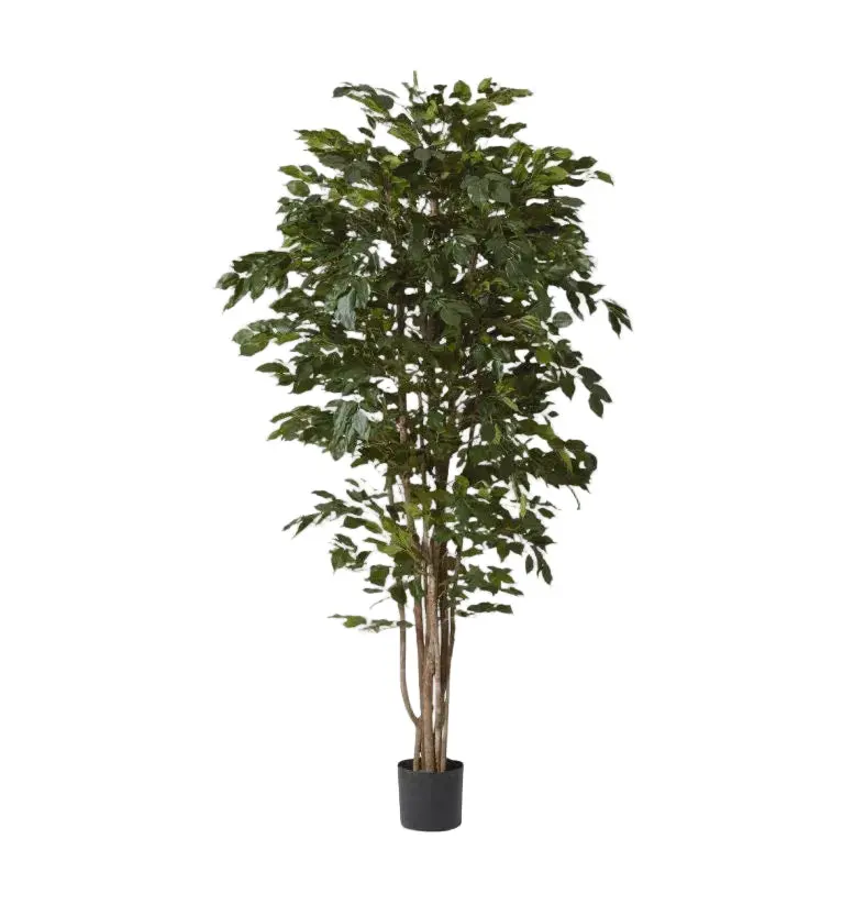 Ficus Tree Artificial Plant 210Cm Tall 1