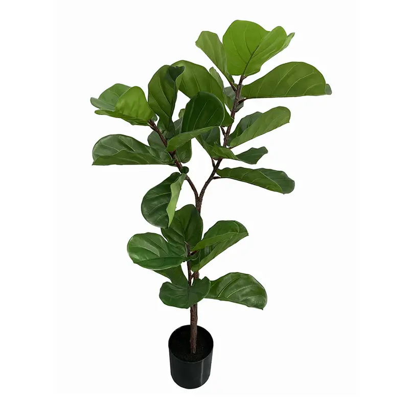 Fiddle Leaf Fig Tree In Stylish Planter 1