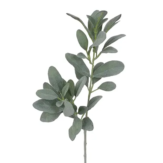 Lamb'S Ear Foliage Spray 1