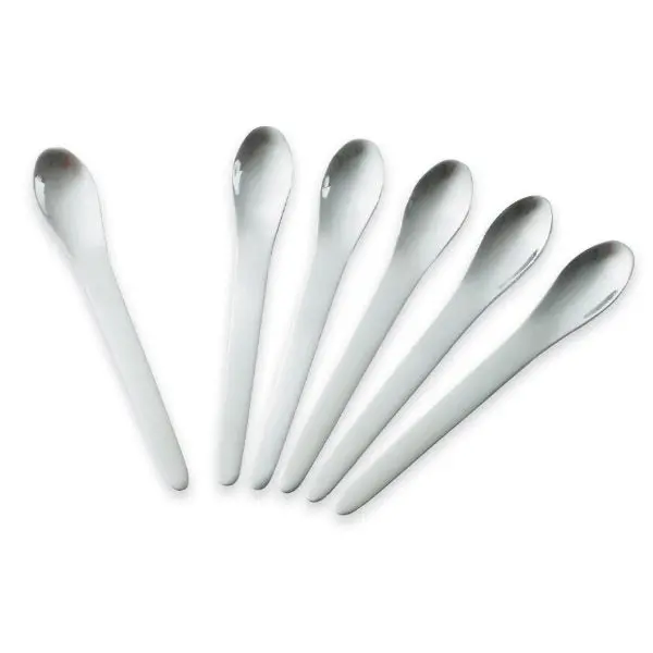 Lebrun Stainless Steel Appetizer Spoon Set – 6-Piece 1