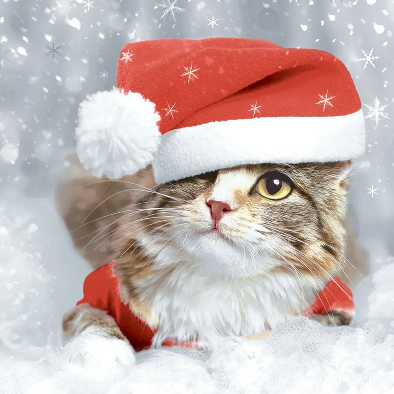 Paper+Design Kitten Christmas Luncheon Napkins – German-Crafted Holiday Tableware 1