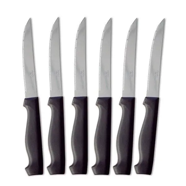 Pradel 6-Piece Steak Knife Set 1