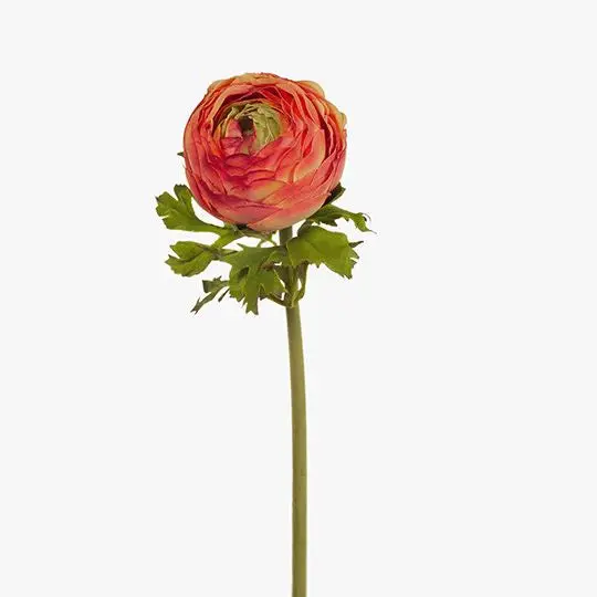 Ranunculus Burnt Orange Artificial Bloom 1