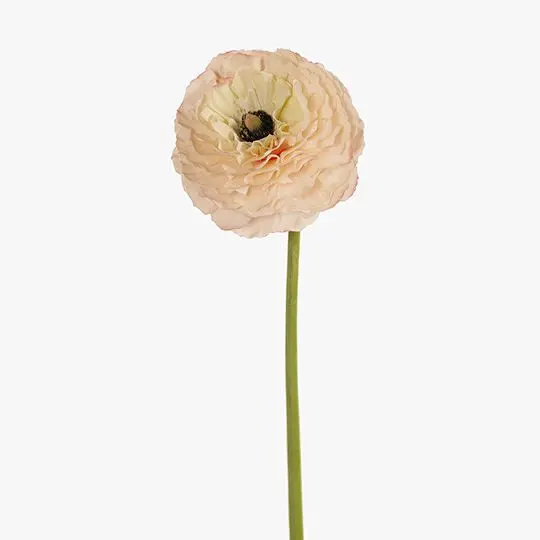 Ranunculus Champagne-Colored Silk Flower Stem 1