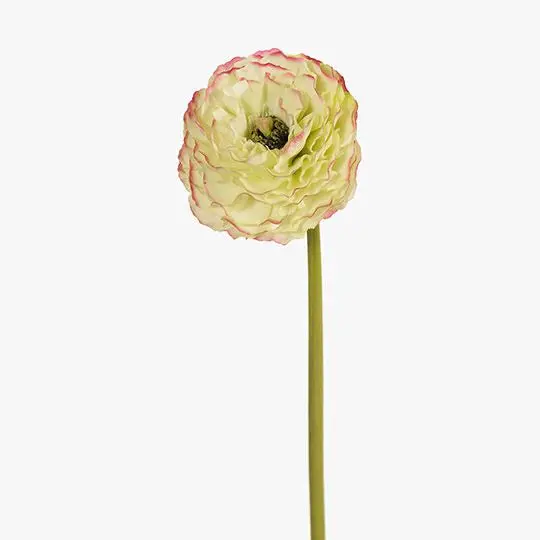Ranunculus Light Green Faux Floral Arrangement 1