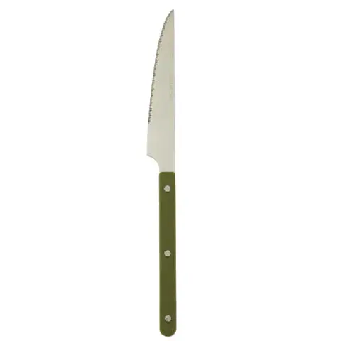 Remy Stainless Steel Dinner Knife 1